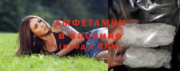 индика Армянск