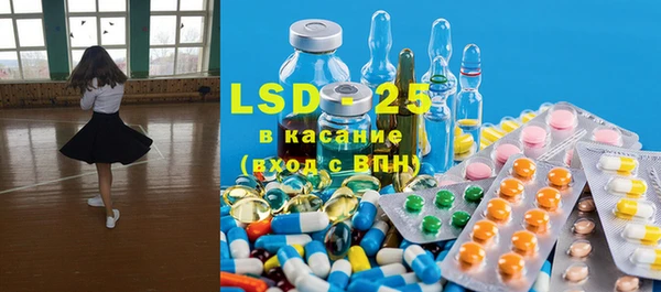 индика Армянск