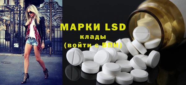 индика Армянск