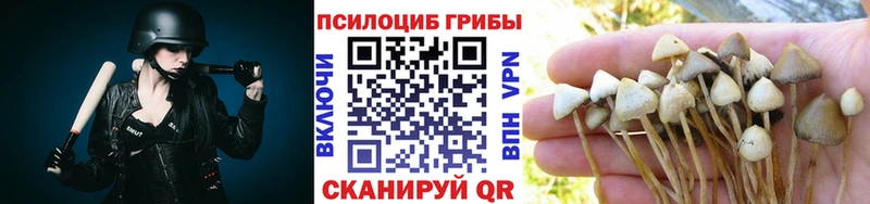 Псилоцибиновые грибы Psilocybe  наркотики  Рыбное 