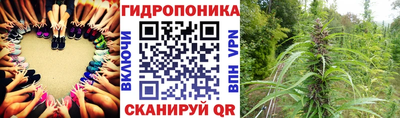 OMG   что такое   Рыбное  Канабис планчик 